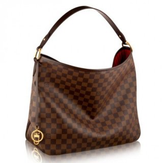 Louis Vuitton Delightful MM Bag Damier Ebene N41460
