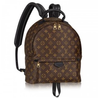 Louis Vuitton Palm Springs MM Backpack M41561